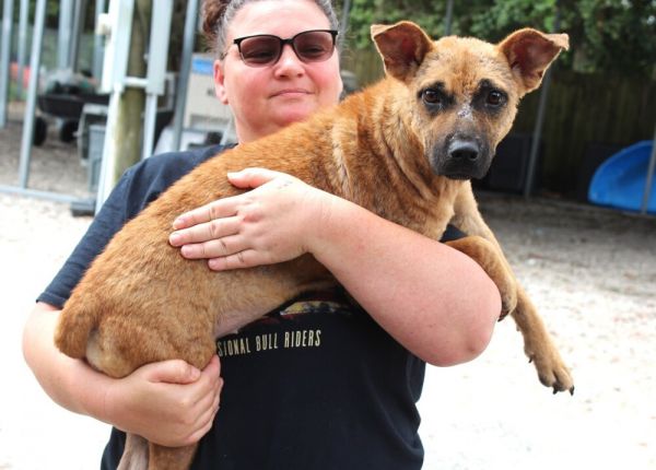 Sheba Available 9/5