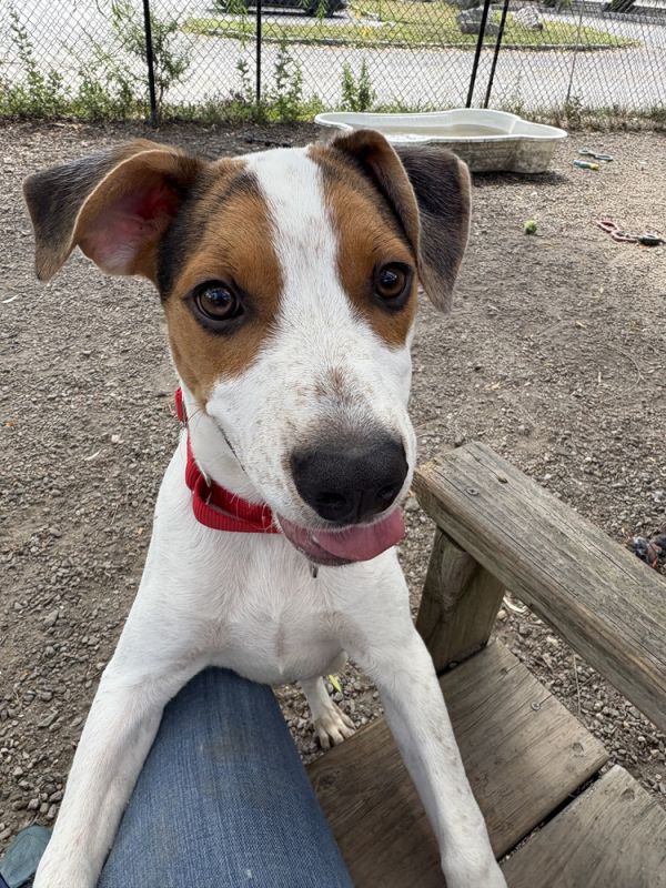 Pete Available 9/5