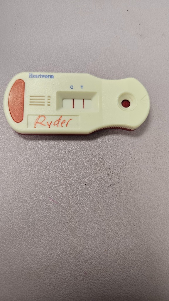 Ryder