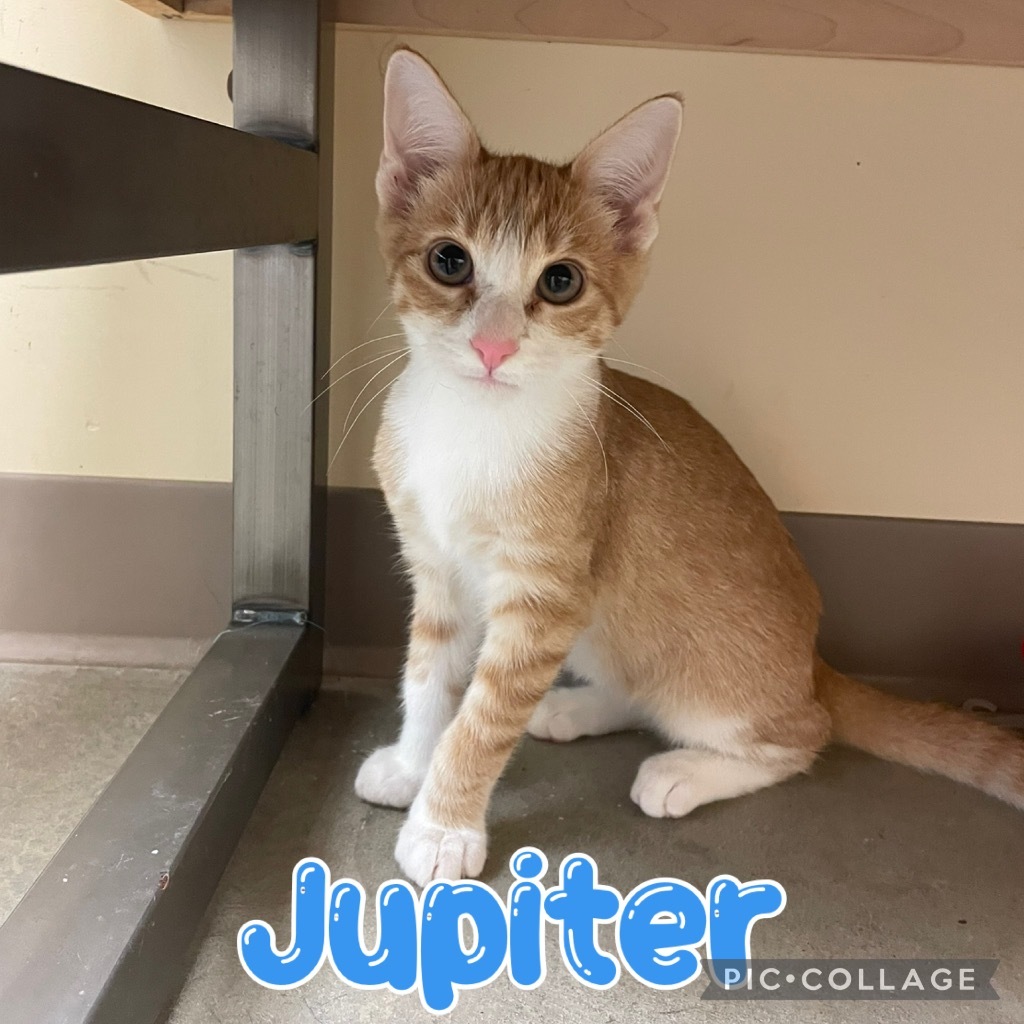 Jupiter