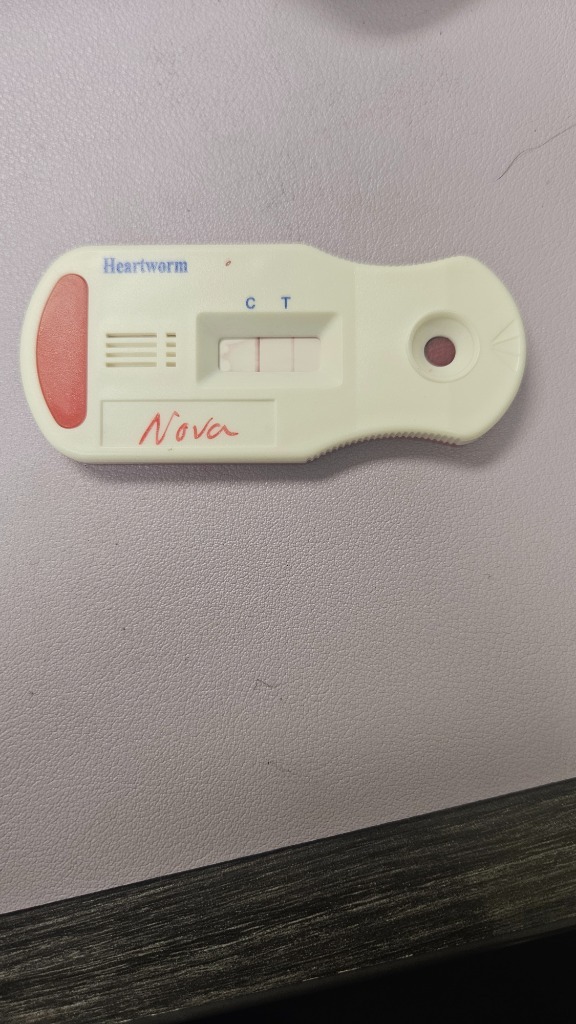 Nova