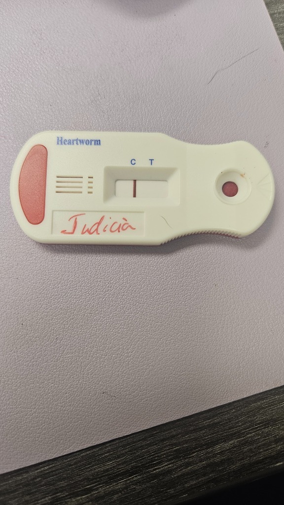 Judicia