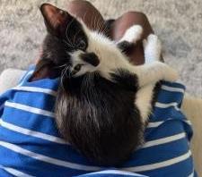Melvin