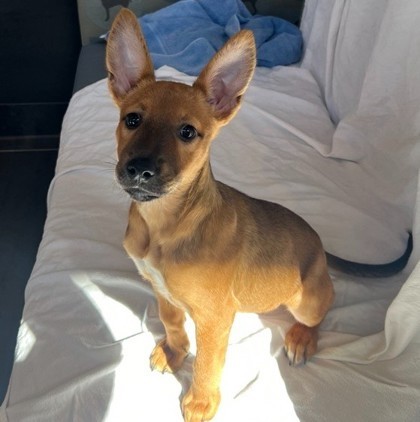 Nella
