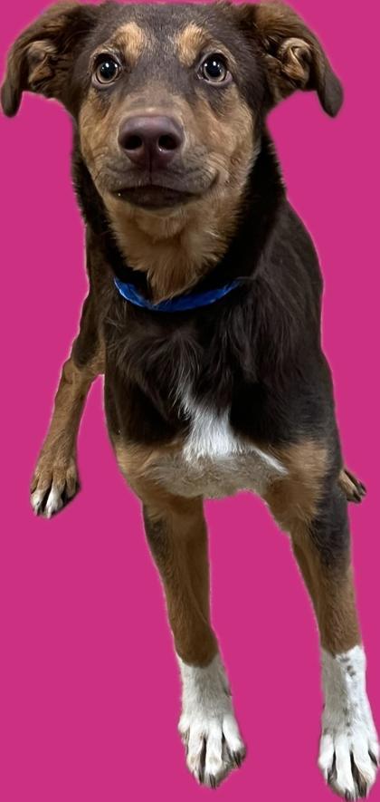 Spunky