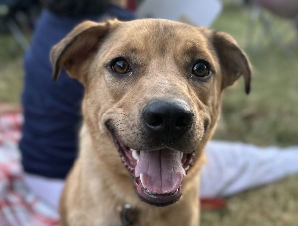 Keagan - MEET ME @ PETCO 9/6/25!