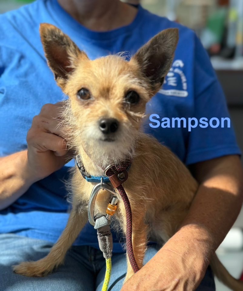 Sampson