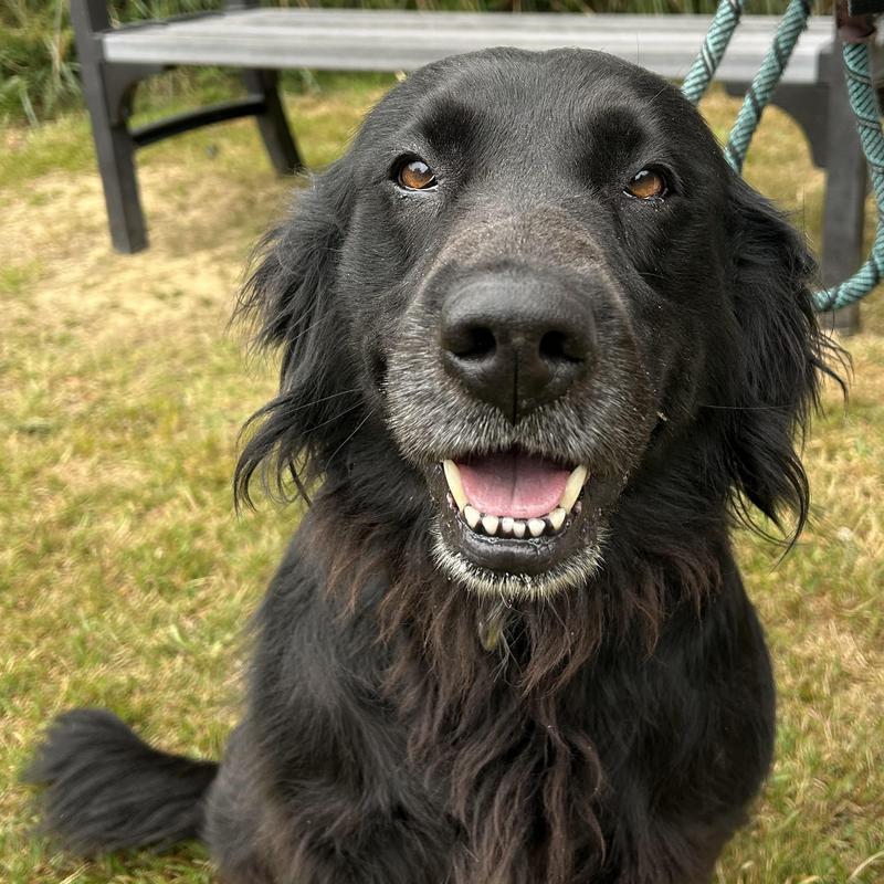 Bella