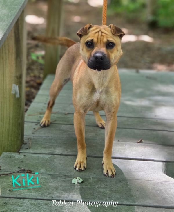 Kiki