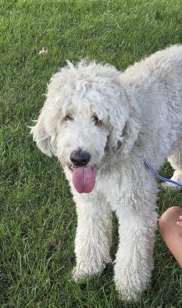 Milo