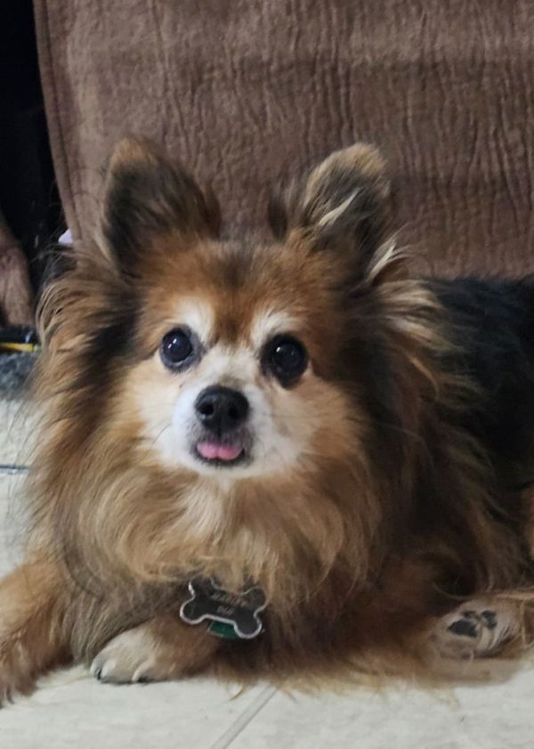 Marley