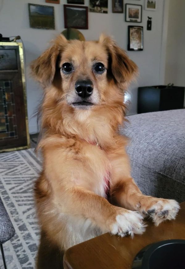 Max