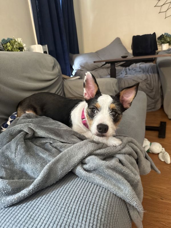 Maggie