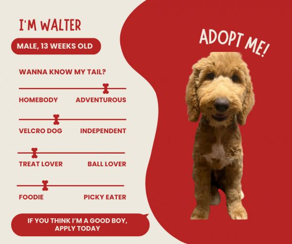 Walter