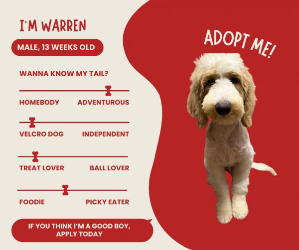 Warren