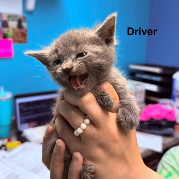 Driver