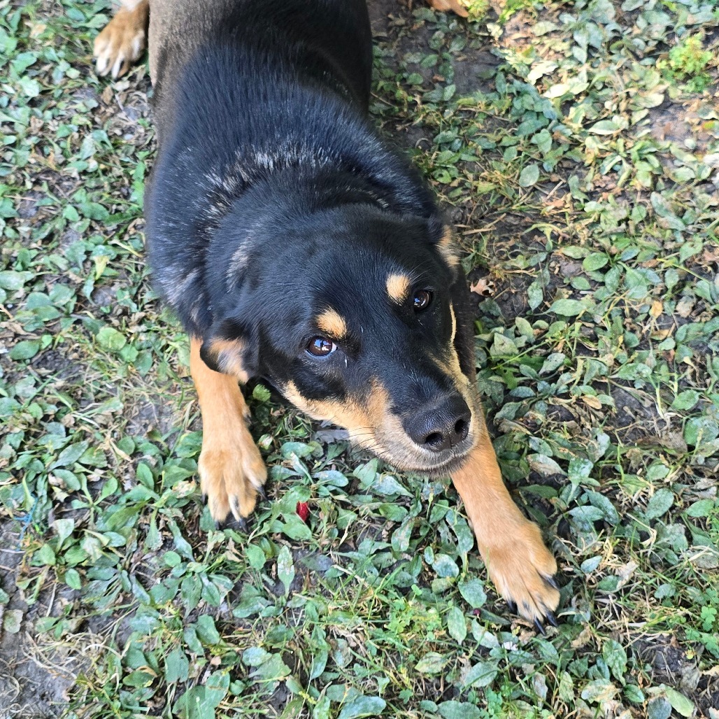 Luka