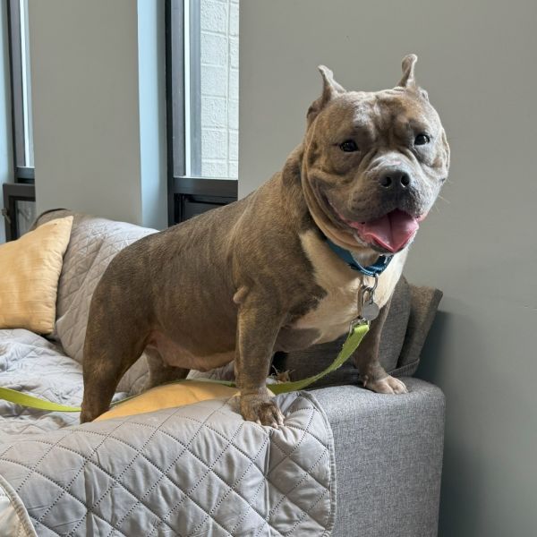 Ms. Opotamus