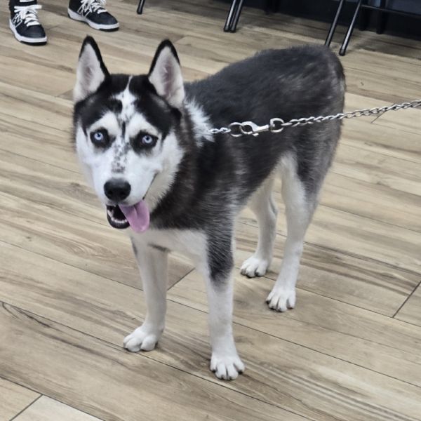 Max