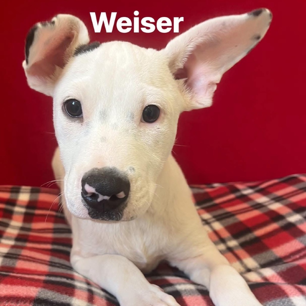 Weiser