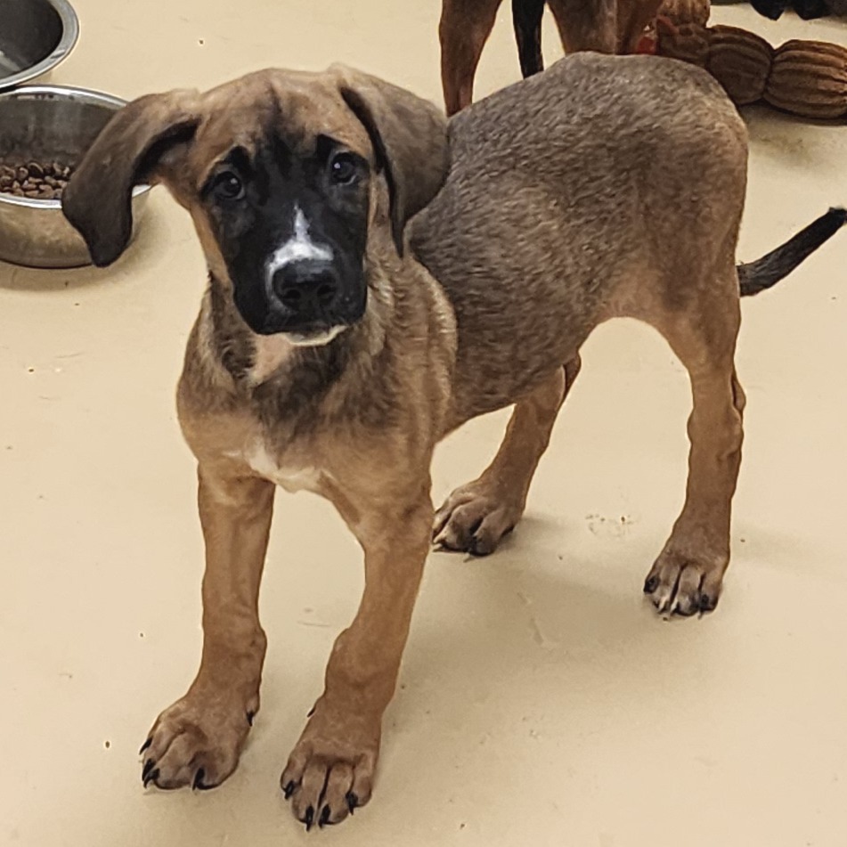 Sammie -*Available NOW* Chino Hills Location