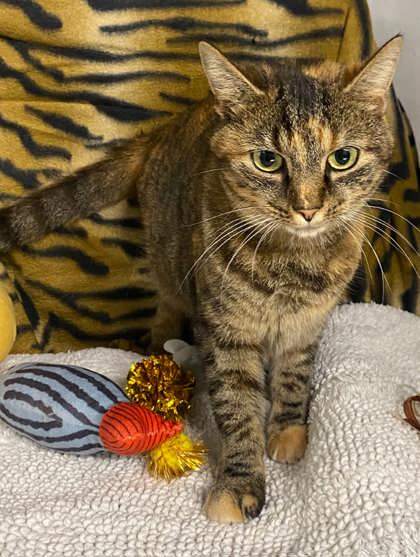 Riley @ PetSmart