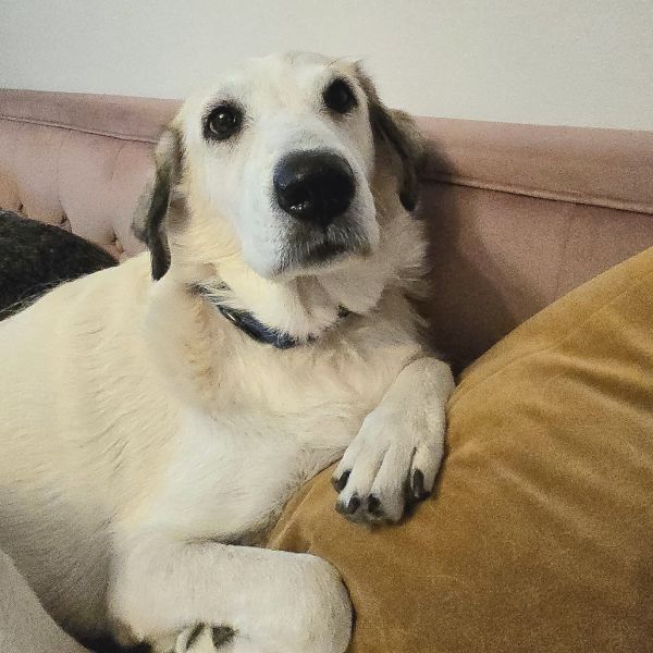 Lena