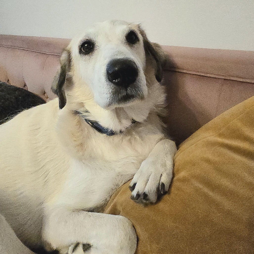 Lena