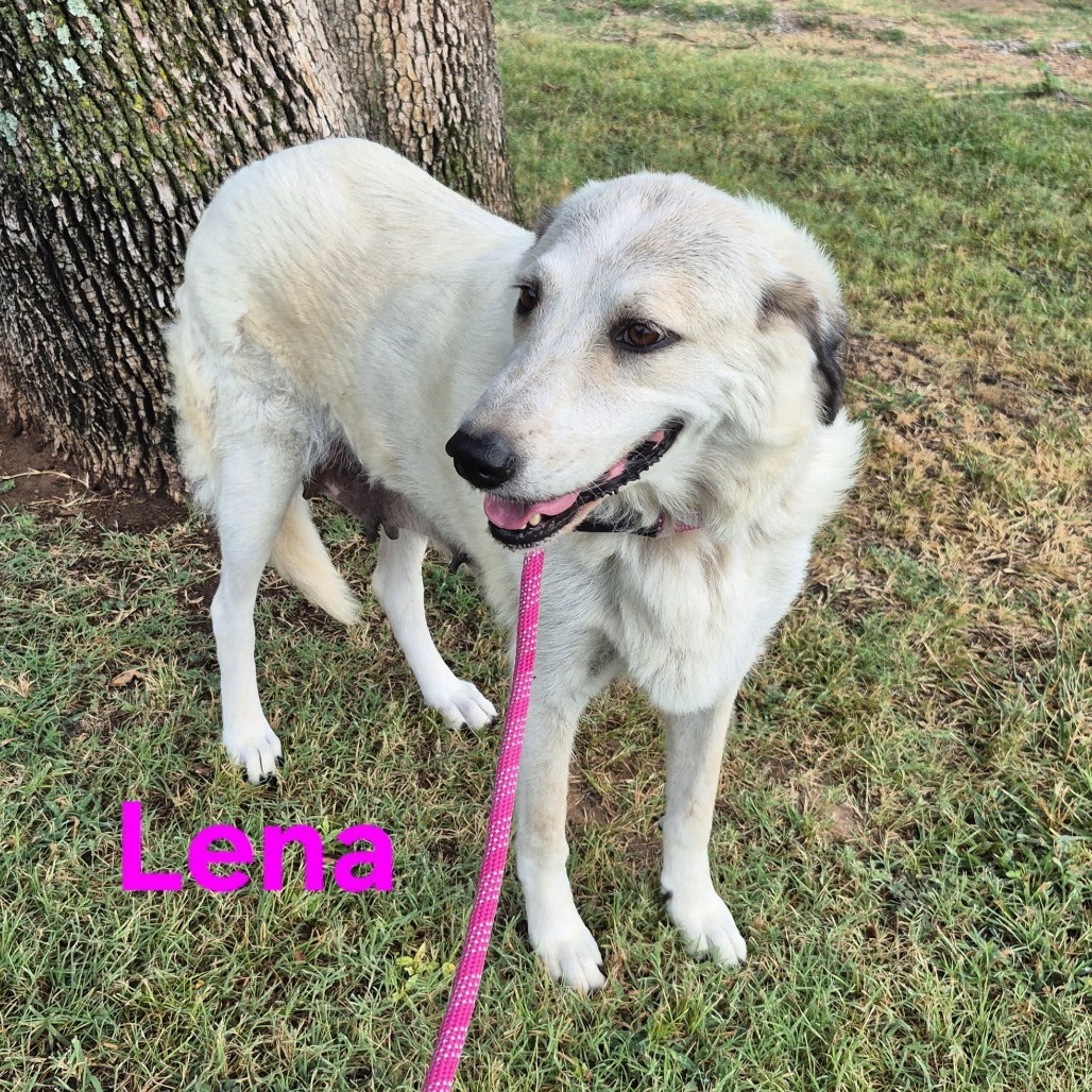 Lena
