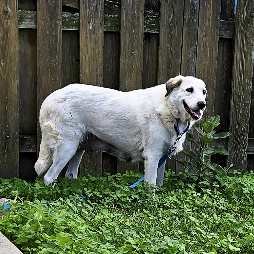 Lena