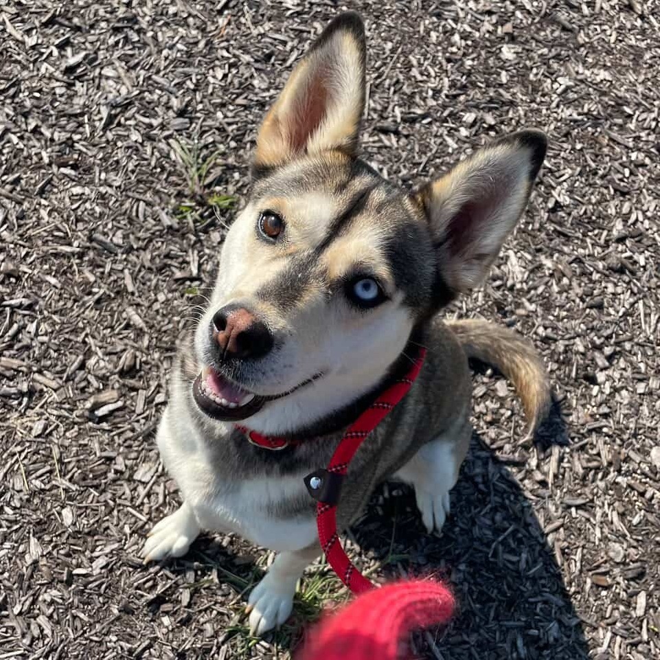 Lucy