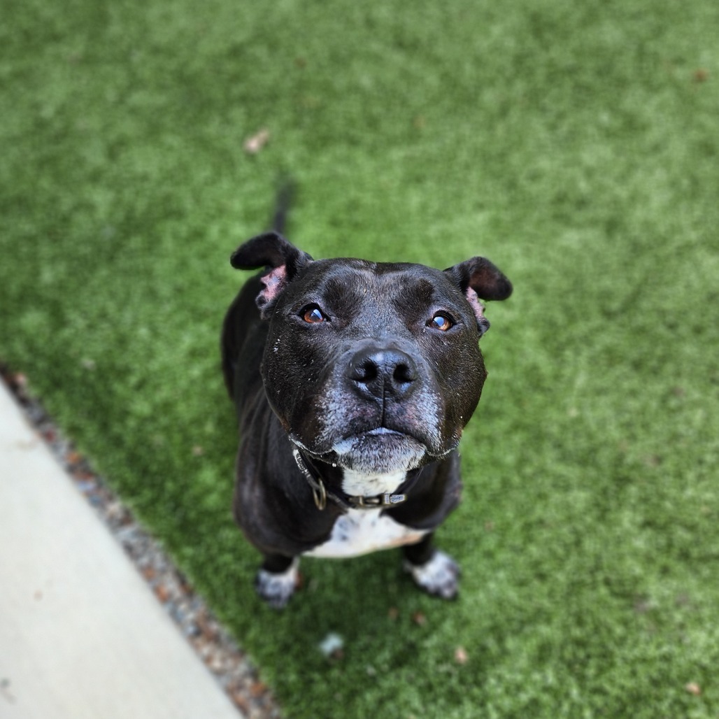 Emmie