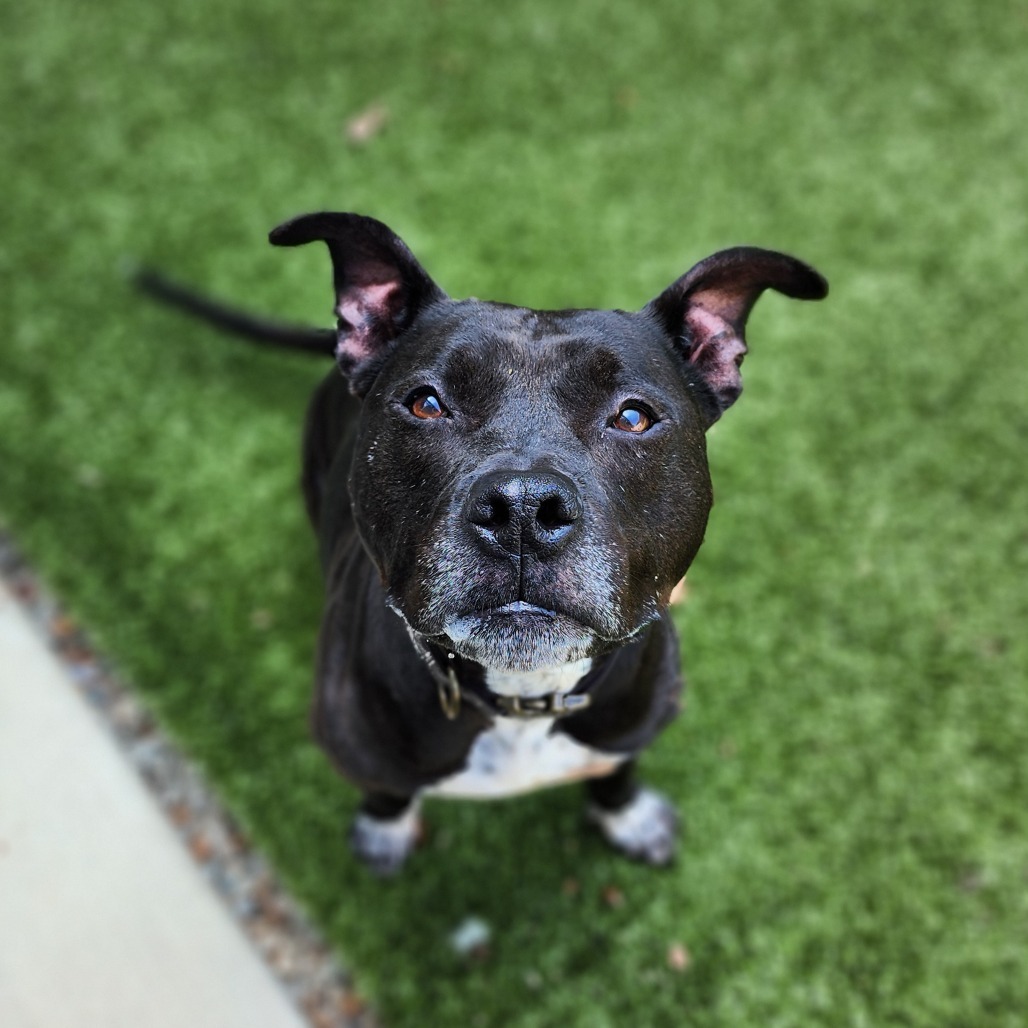 Emmie