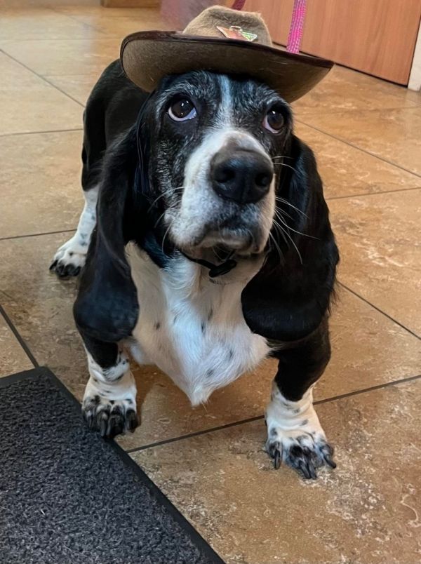 Remi