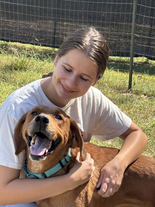 Louie: Not at shelter (Emily)