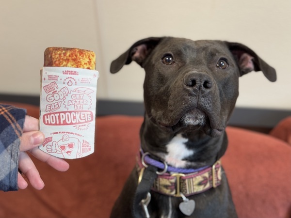 Hot Pocket
