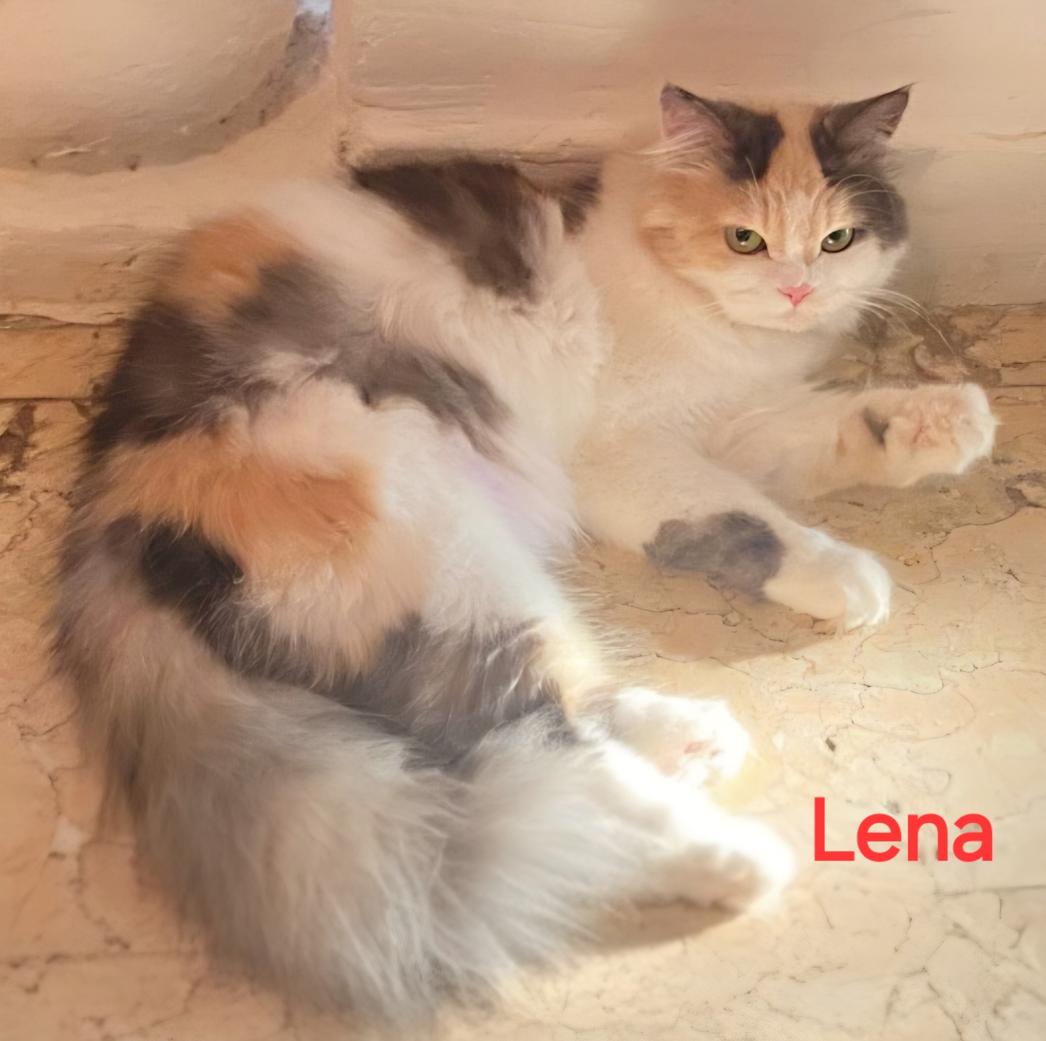Lena