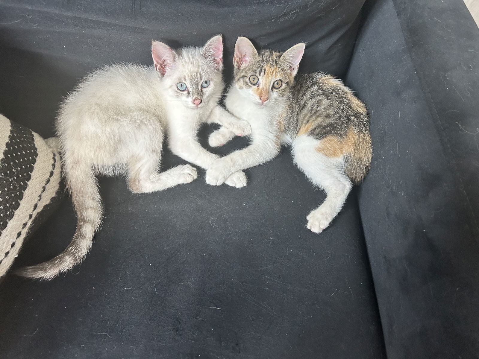 Cassie and Peggy