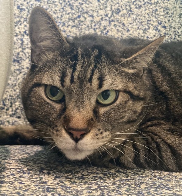 Benny
