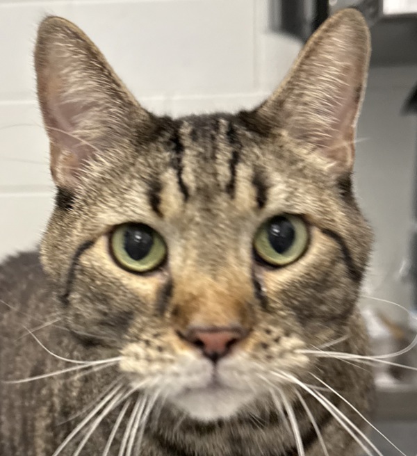 Benny
