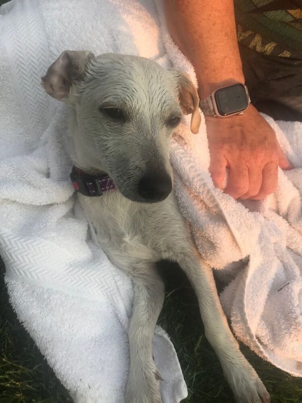 Hufflepuff thumbnail 6