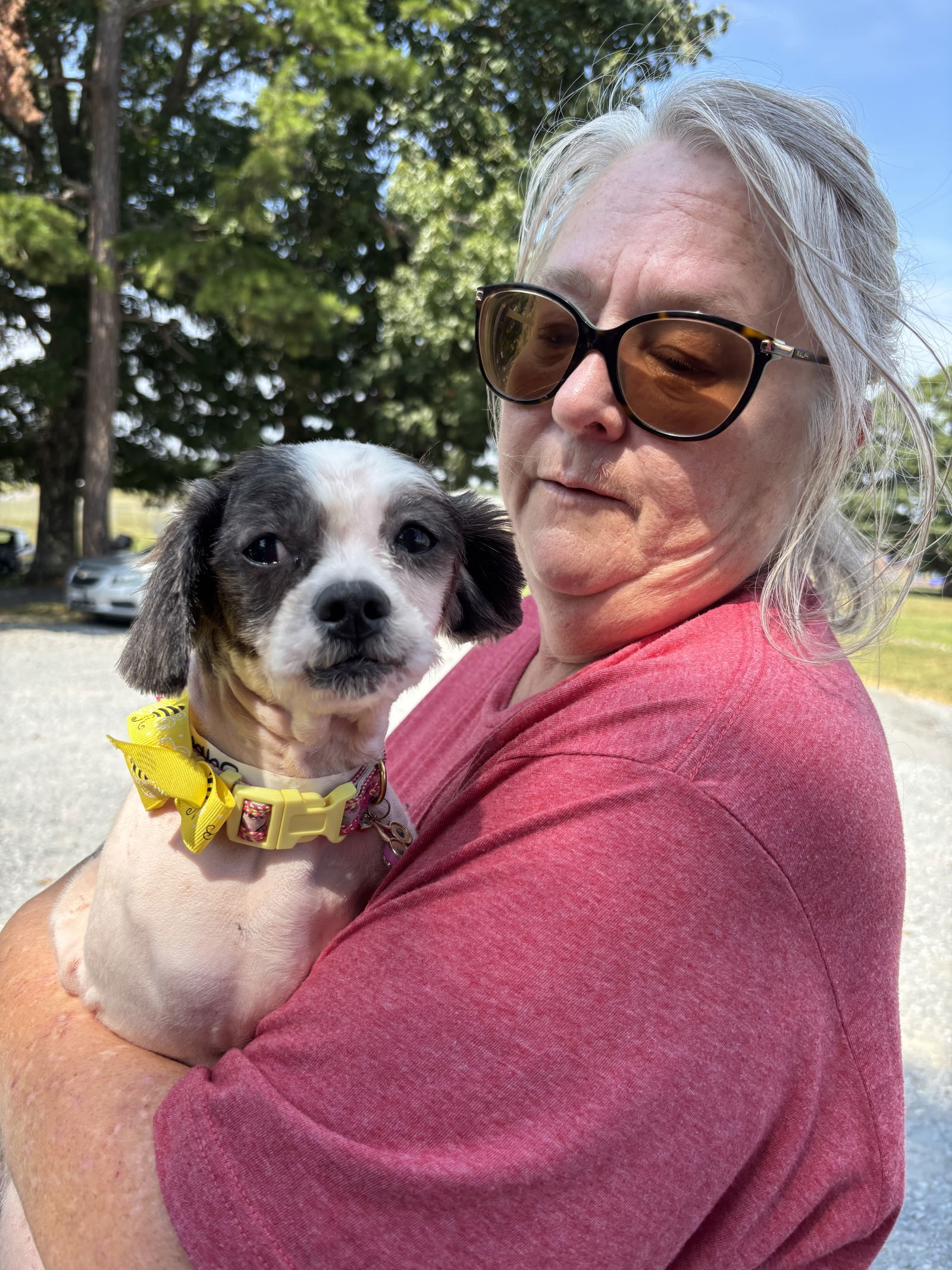 ChaCha: Not At shelter (Pam R)