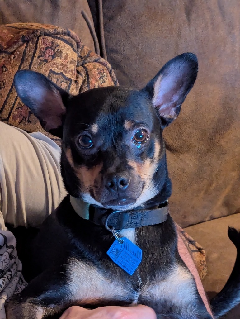 Reggie