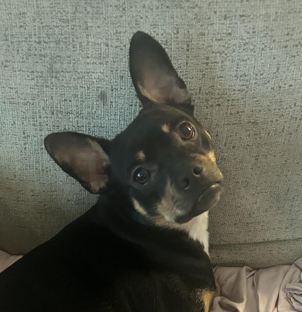 Reggie