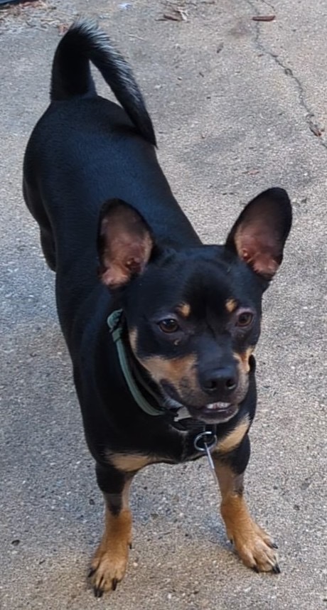 Reggie