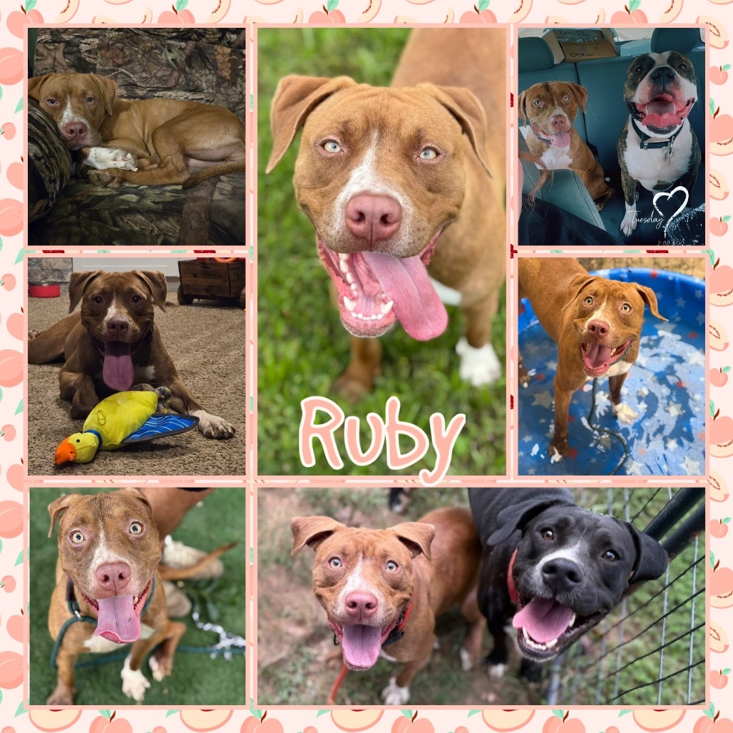 Ruby