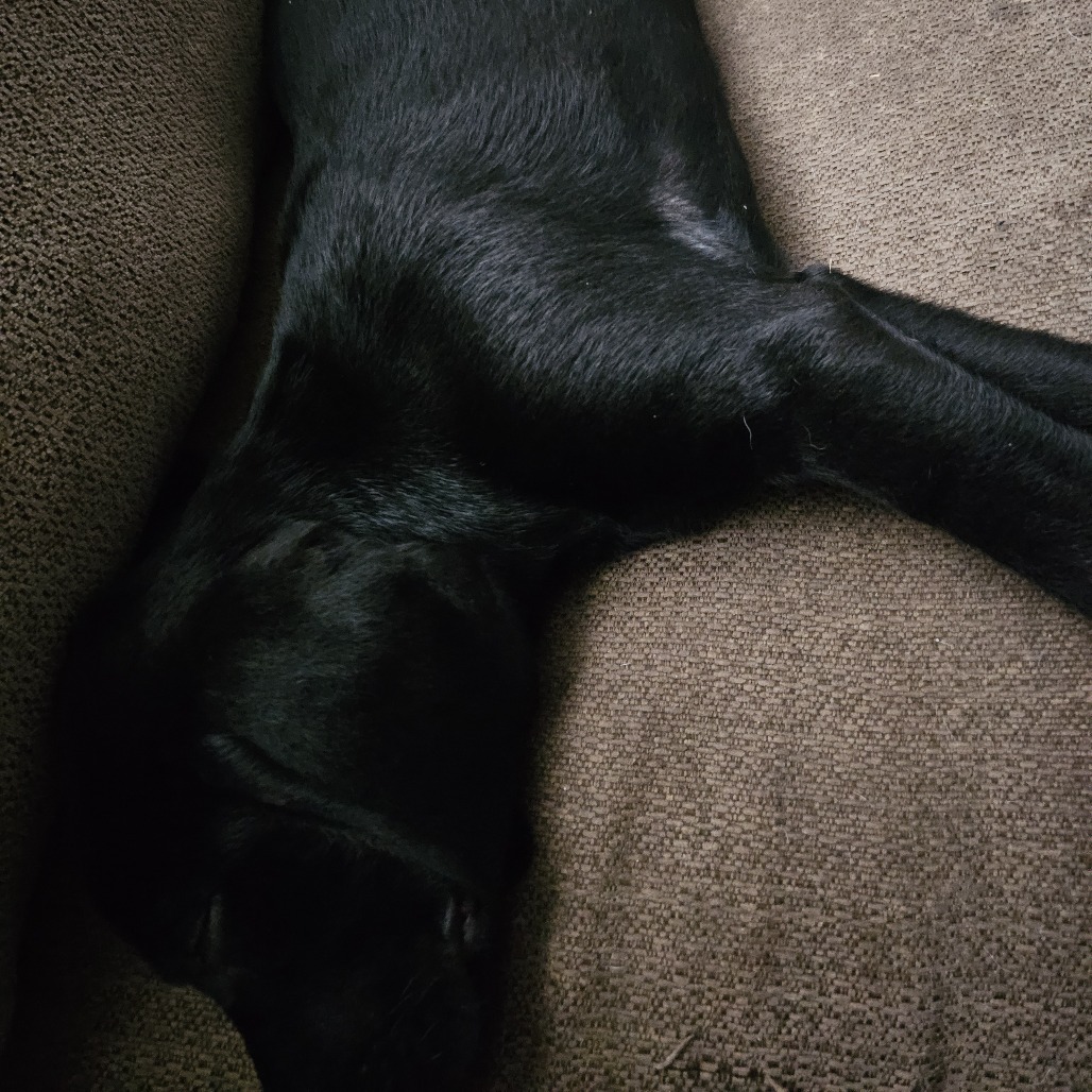 Onyx
