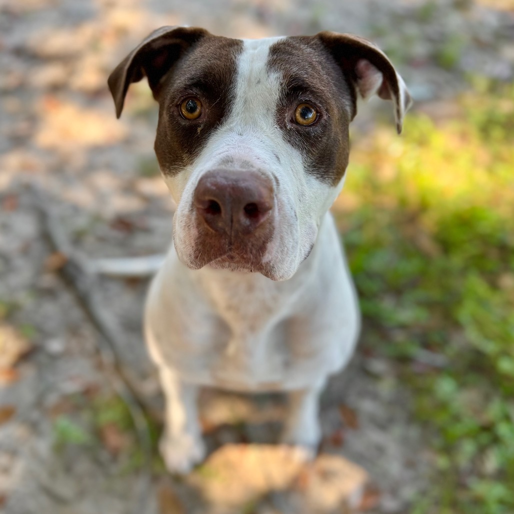 Ella