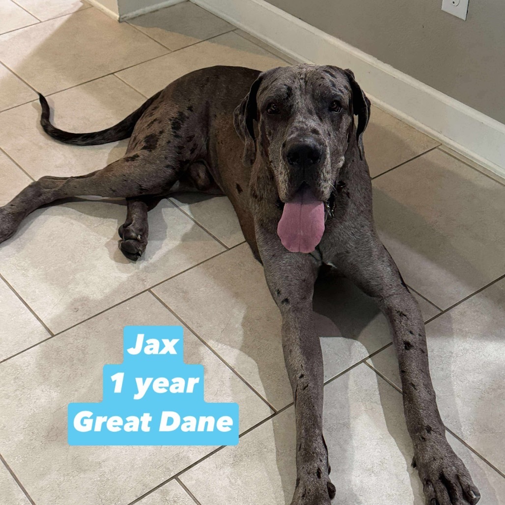 Jax