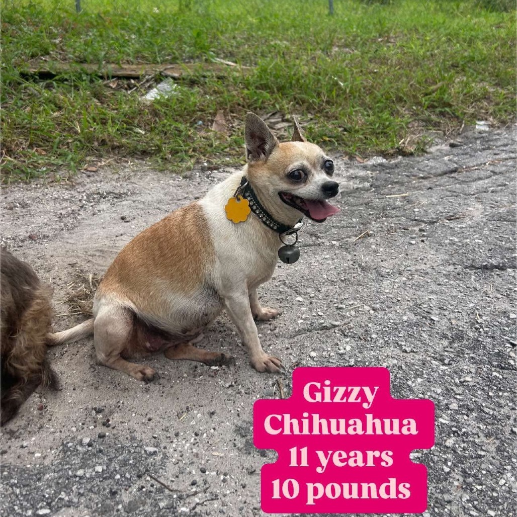 Mama Gizzy